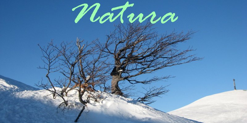 Fotogallery - Natura
